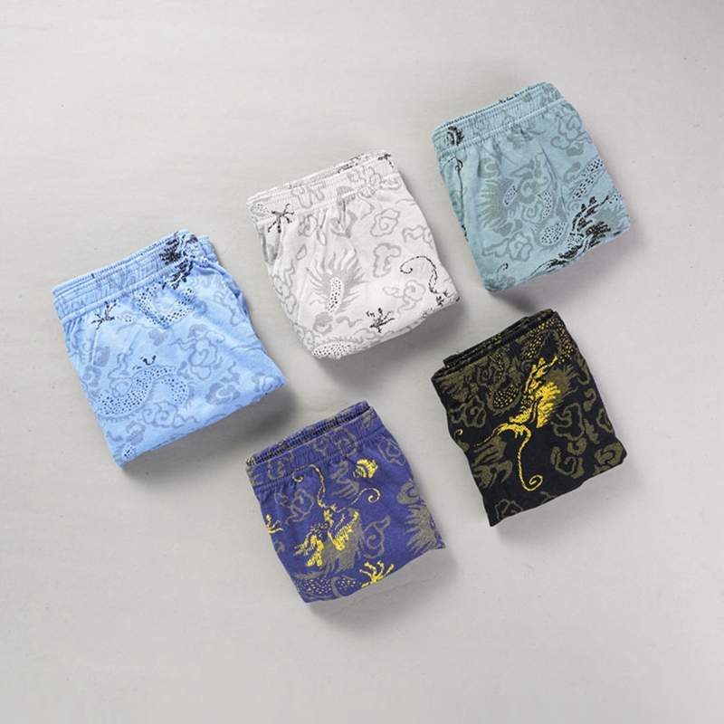 10 buah/lot celana dalam motif - Multi Pack Underwear ulasan dan harga